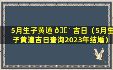 5月生子黄道 🌴 吉日（5月生子黄道吉日查询2023年结婚）